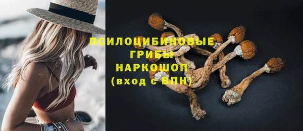 гашик Беломорск