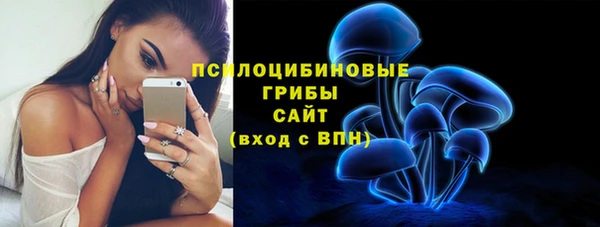 крисы Белокуриха