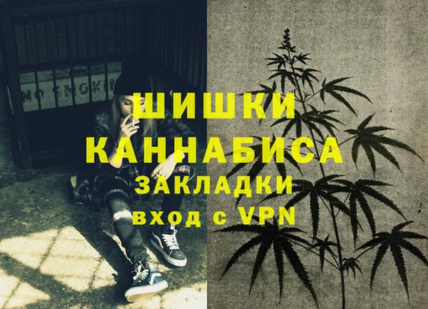 крисы Белокуриха