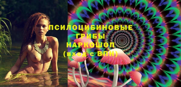 гашик Беломорск