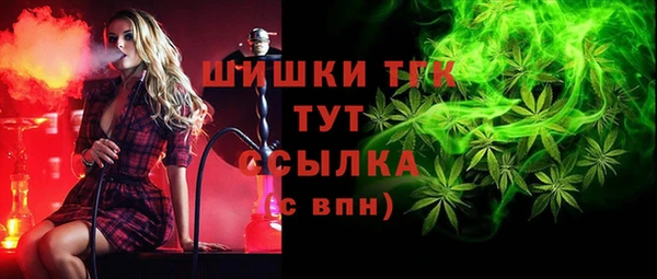 стаф Белоозёрский