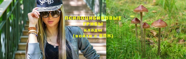 стаф Белоозёрский