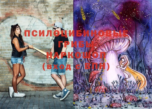 гашик Беломорск