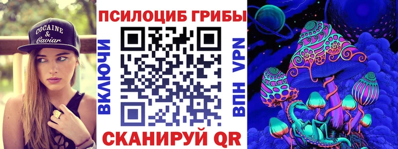 блэк спрут ONION  Полесск  Галлюциногенные грибы Psilocybine cubensis  где продают  